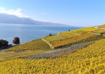 LAVAUX PANORAMIC – SAMEDI 15 octobre