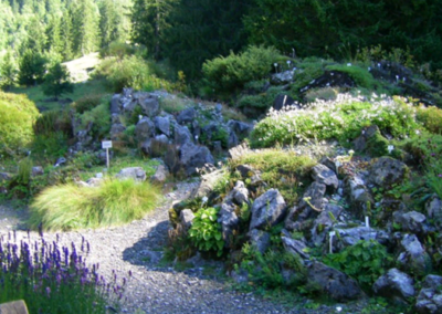 Samedi 17 juin 2023 – Retour à la nature