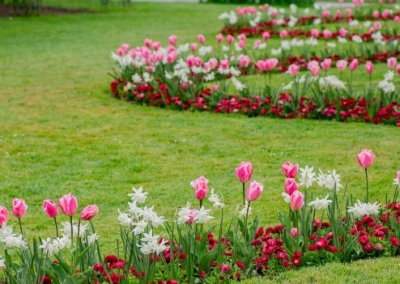 Samedi 26 avril – Fête de la tulipe et maison de la rivière