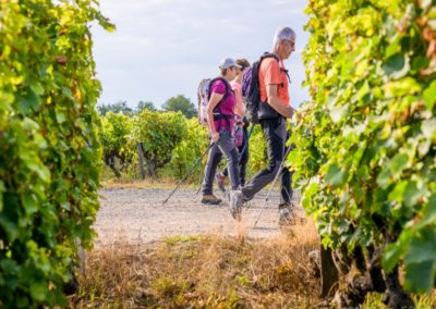 Dimanche 26 octobre 2025 – balade dans les vignes et brisolée